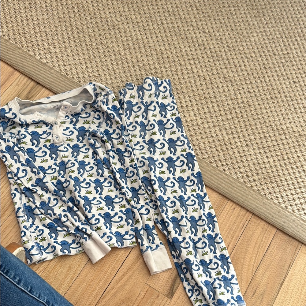 Hanna Andersson Blue Dinosaur Pajama Set